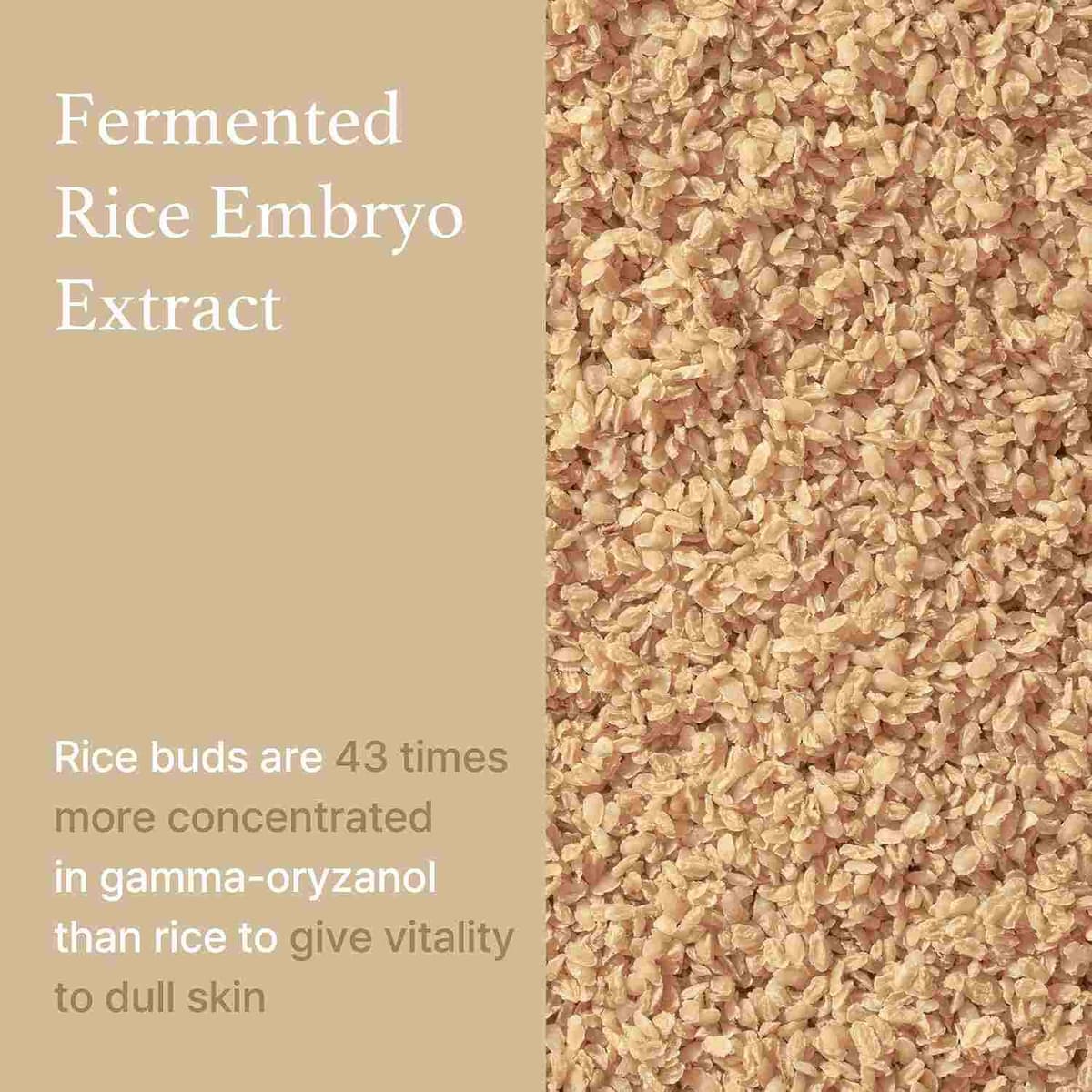 I'm from Rice Serum (Exp - Jul/27)