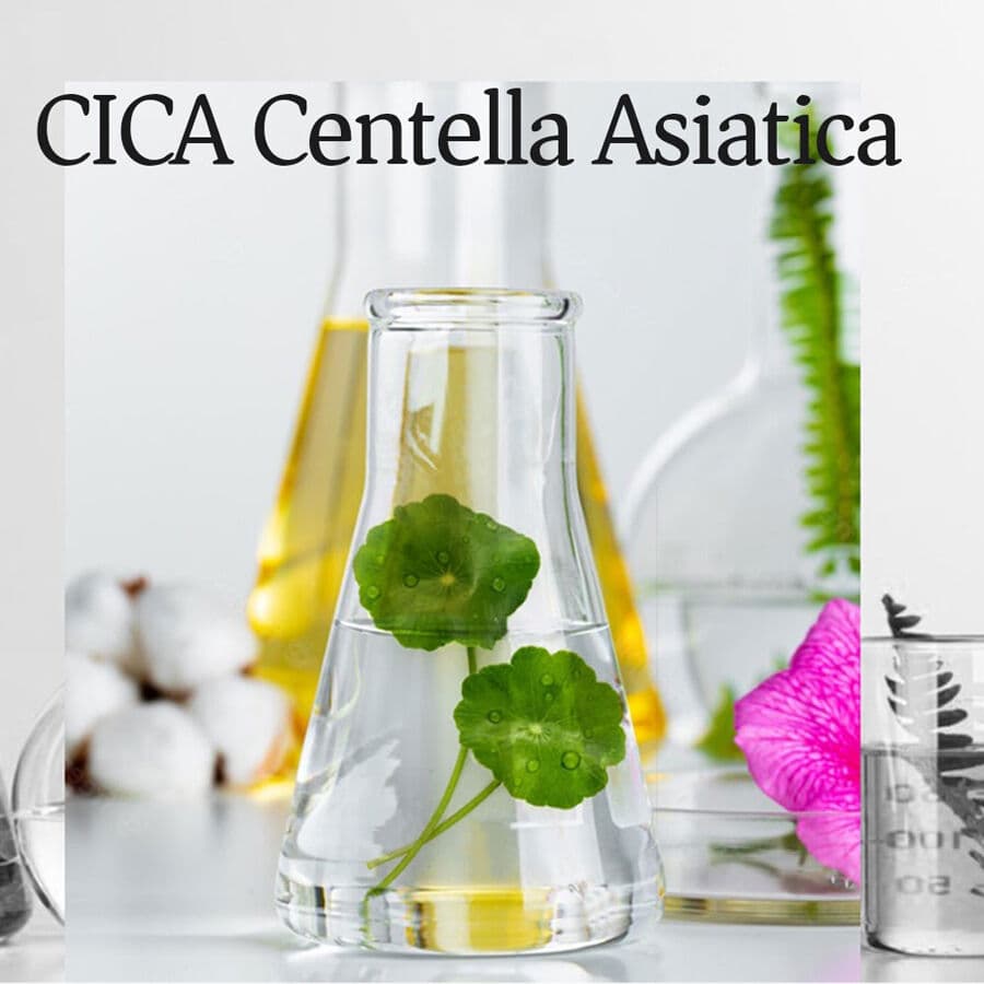 Care Nel Hyaluvita B5 Cica Serum (Exp - Sep/27)